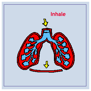 Diagram: Inhale/Exhale